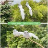 6pcs Silver Glitter Birds Decorations Christmas Tree Clip on Bird