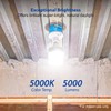 ZONE INDUSTRY CORP. LED Light Bulb, 5000 Lumens, 36W Equivalent,
