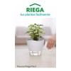 Betterware Maceta Pequeña Moderna Riega Facil Blanca Interior/exterior