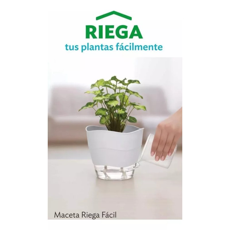 Betterware Maceta Pequeña Moderna Riega Facil Blanca Interior/exterior