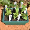 Artcome 5-Pack Seed Starter Tray - 6 Cells Each with