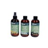 Oasis Forage Hurry Hydrate Treatment for Fresh Cut Flowers, Ready
