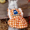 Pet Cat Dress Breathable Polyester Lovely Plaid Lace Summer Girl