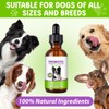 Dachitian 3 in 1 Dog Probiotic Drops, 60ml Prebiotics Drops