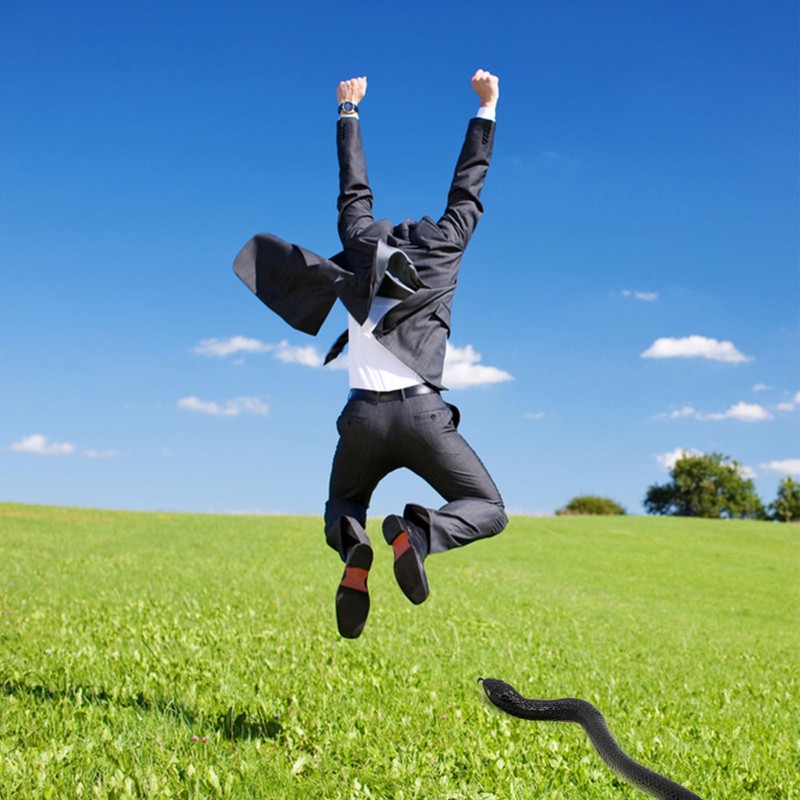 Vinuwu Pranks for Adults,April Fools Pranks,Rubber Snake,Fake Snake Prank Kit,Practical