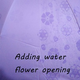 Maibar Umbrella UV UPF 50 Pocket Umbrellas UV Protection Umbrella Made of Lace Women for Women, J-carnation purple