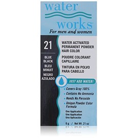 Water Works Water Activated Permanent Powder Hair Color for Men and Women, #21 Blue Black