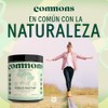 COMMONS Hongos Adaptógenos Hongo Maitake Suplemento Alimenticio En Polvo