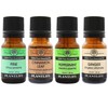 Plantlife Holiday Set 4-Pack (Pine, Cinnamon Leaf, Peppermint, and Ginger)