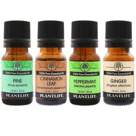 Plantlife Holiday Set 4-Pack (Pine, Cinnamon Leaf, Peppermint, and Ginger) Aromatherapy Essential Oil Set - Straight from The Plant 100% Pure Therapeutic Grade - No Additives or Fillers