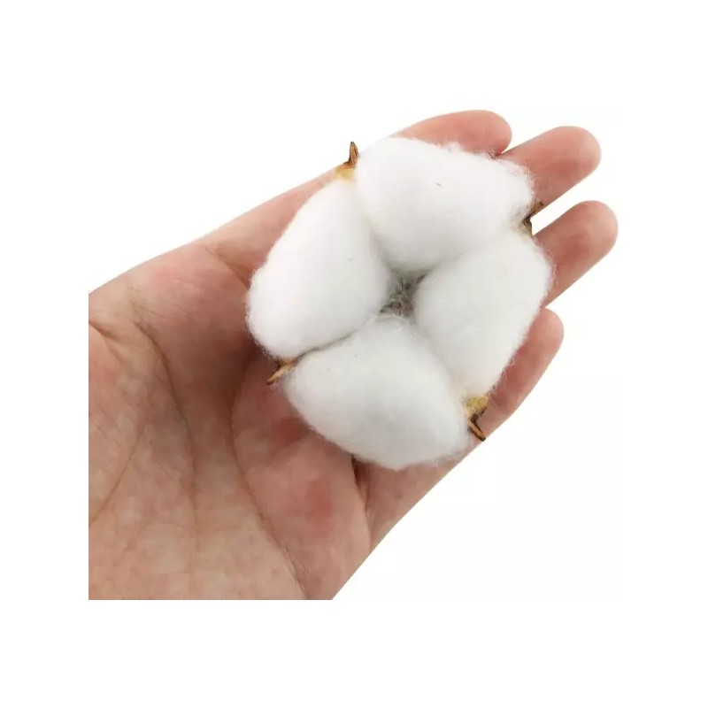 Tag 테그 코튼 볼 20PCS 천연 흰색 건조 포드로 농가