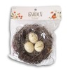 Easter Crafts Brown Natural Bird's Nest with White Eggs