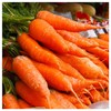 Everwilde Farms - 2000 Chantenay Royal Carrot Seeds - Gold