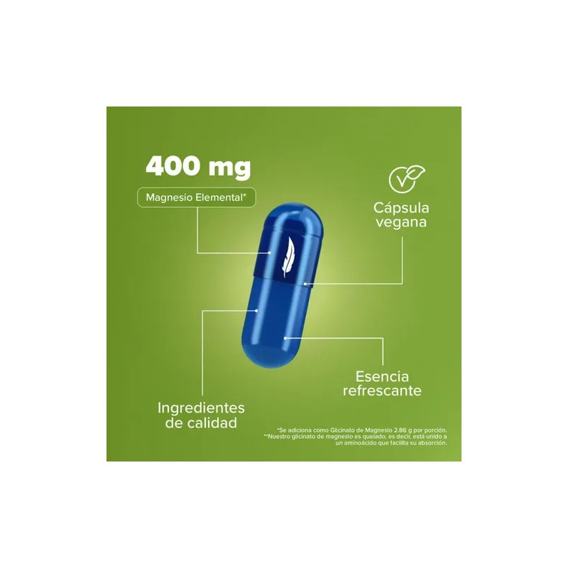 Glicinato De Magnesio 400mg 240 Cáps + Creatina 450g Birdman