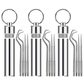 12 Pieces Portable Stainless Steel Pocket Set Reusable Metal Toothpicks, Holder for Outdoor Picnic Camping Traveling Supplies(3)