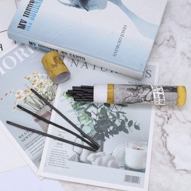 FTVOGUE Charcoal Pencils Bar, Woodless Charcoal Pencils Charcoal Pencil Drawing Charcoal Bar Artist Art Drawing Tools Sketch Pencil for Oil Painting Chinese Painting Design Pack of 25