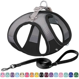 AIITLE Easy Walk Dog Harness and Leash Set - Pet Supply No Pull, Step in Adjustable Dog Harness with Padded Vest for All Weather, Dog Harness No Choke Over, Easy to Put on Medium Dogs Black L