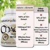 Natures Elements Chaga Mushroom – Pack of 3 – 10:1