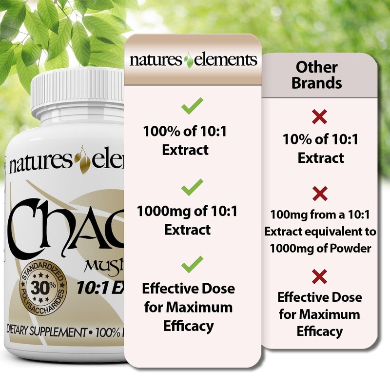 Natures Elements Chaga Mushroom – Pack of 3 – 10:1