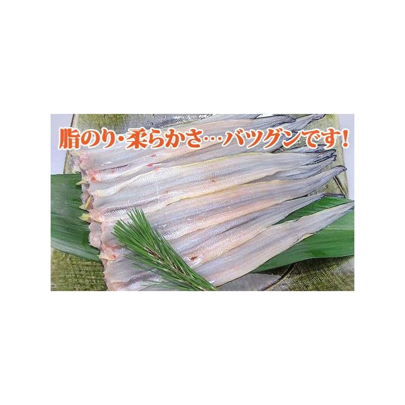 Conger Eel Fillet Approx. 1.8 - 2.1 oz (50 -