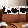 HYOPUO Set of 2 Faux Fur Throw Pillow Covers with