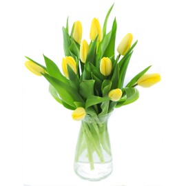 Blooms2Door PRIME NEXT DAY DELIVERY - Mother’s Day Collection - - 10 Yellow Tulips with Vase Fresh.Gift for Birthday, Sympathy, Anniversary, Easter, Mother’s Day Fresh Flowers