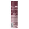 8X4 Men Million Nights Deospray, Deospray für Männer mit orientalischen