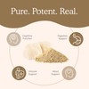 Lions Mane Mushroom Cognition (120 Capsules) Lions Mane Mushroom Powder