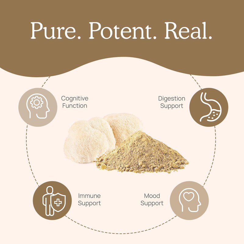 Lions Mane Mushroom Cognition (120 Capsules) Lions Mane Mushroom Powder