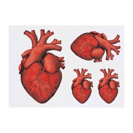 Azeeda 4 x 'Menschenherz' Temporäre Tattoos - Wasserfest, Hautfreundlich & Ungiftig · Transfers in Verschiedenen Größen (TO00078784)