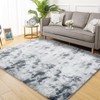 LUXLOOM 9x12 Fluffy Area Rugs Large Shag Rugs for Living