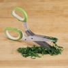 Kitchen Shears