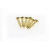 Sterling DCB100 Brass Plated Door Chain