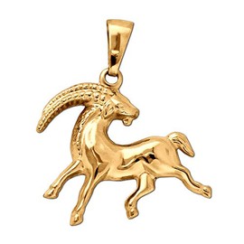 CLEVER SCHMUCK Golden Zodiac Pendant Capricorn 18 x 15 mm on Both Sides Plastic Shape and Shiny 333 Gold 8 Carat in Case Sand, Glossy
