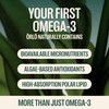 Orlo Omega 3 Algae Oil Supplement – 3X Absorption Natural