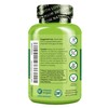 NATURELO Digestive Enzymes - Full Spectrum Support with a Broad