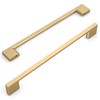 Amerdeco 10 Pack Champagne Bronze Cabinet Pulls 10 Inch(254MM) Hole