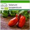 SAFLAX - Organic Tomato - San Marzano - 15 Seeds