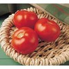 Florida 91 F1 PL Tomato Seed