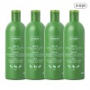 Giaja 지아자 내추럴 올리브 샴푸 400ml 4개 Giaja Natural Olive