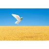 CafePress Peace For Ukraine Greeting Cards Folded Greeting Card Glossy