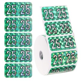 500pcs 2025 Year Stickers, 1.49x0.74 Inch File Folder Year Labels 2025 Holographic Sticker 2025 File Folder Stickers 2025 Foil Stickers for Chart Folder Office Supplies (Light Cyan)