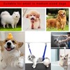Eowppue 3pcs Save Time and Secure Your Dog with Grooming