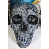 Ebros Black Astrology Paranormal Ouija Spirit Skull Statue 8.5"L Supernatural