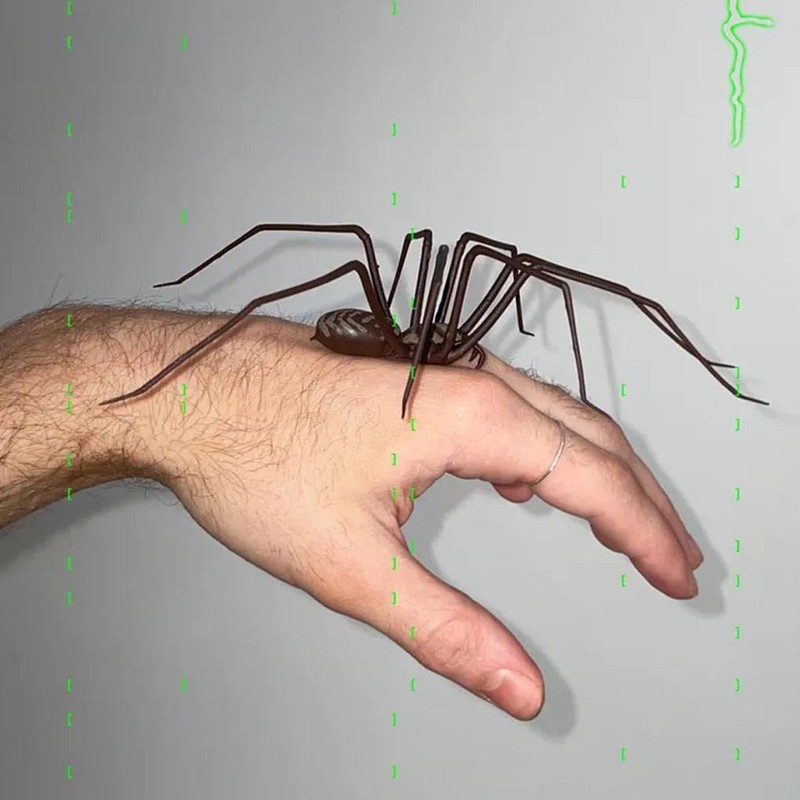 Realistic Simulation Spider Sticker for Fridge Decor Realistic Simulation Spider