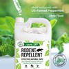 Mighty Mint Peppermint Oil Rodent Repellent Spray with Microfiber Cloth