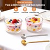 Yogurt Maker with Timer and Temperature Control