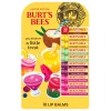 Burt's Bees Burt’s Bees Drink Inspired Lip Balm Pack, 10