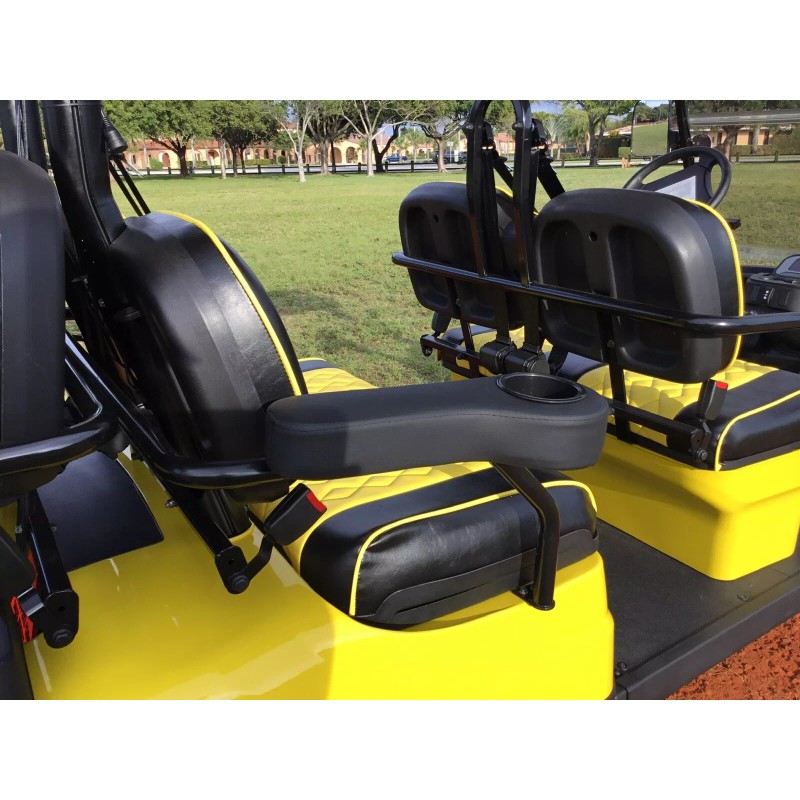 advanced ev ICON OR ADVANCED EV GOLF CART PAIR BLACK