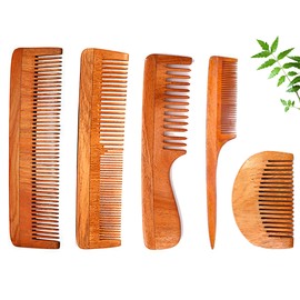 DREAMWIND Neem Wooden Anti-Dandruff Comb Set for Women & Men